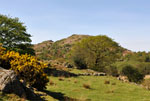 Muncaster Fell